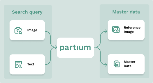 Partium Search Engine Query and Master Data