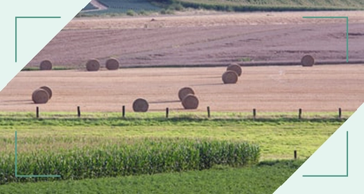 Partium-LexCom-agroparts_landing-page-01
